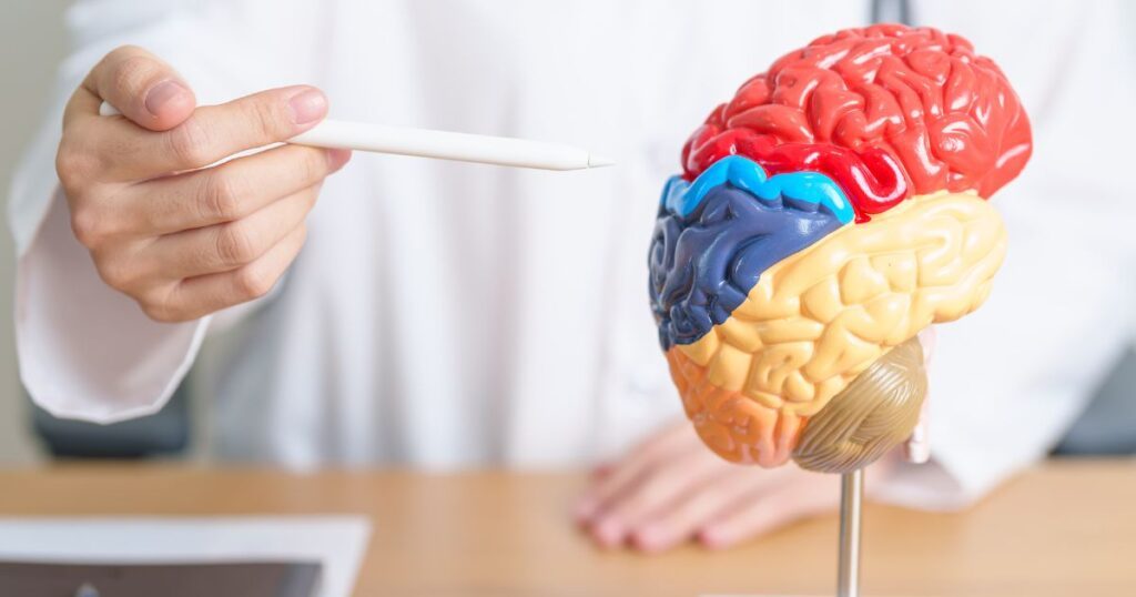 A Relação Entre Inteligência Emocional e Saúde Mental